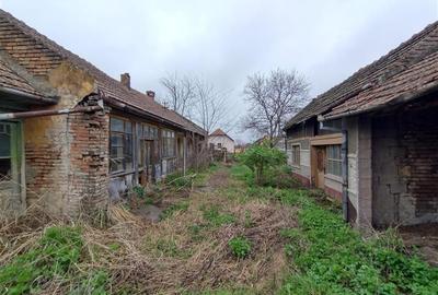 Casă individuală cu 4 camere cu Teren 1798 Mp în Iecea Mare - 10