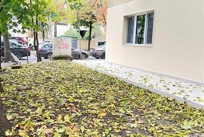 Inchiriere 3 camere Primaverii - 3