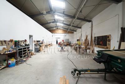 Spațiu comercial, de 560 mp, în Remetea Mare - 5