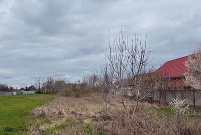 Teren de 1600 mp, în Cazasu - 2