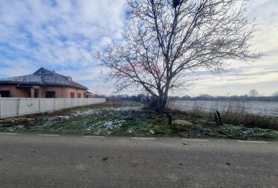 Teren intravilan 1,564mp in Gologanu - 1