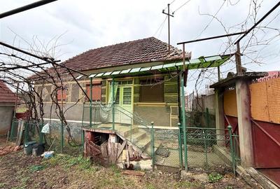 Casă cu 4 camere cu Teren 2846 Mp în Călățea - 3