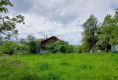 Casa 3 camere si teren 4873 mp in Pietroasa, Moldovenesti - 16