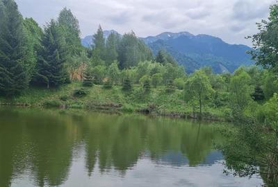 FILM! Oaza paradisiaca cu lac, vedere catre Bucegi, Glajerie/ Rasnov, pretabil C - 22