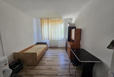 Garsoniera Nicolae Dobrin, parter - 1