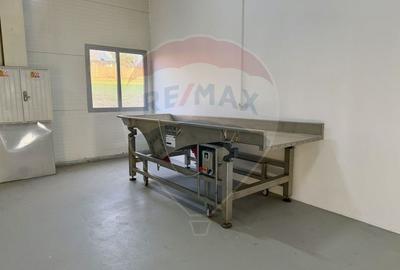 Spațiu industrial, de 700 mp, în Piscu - 14