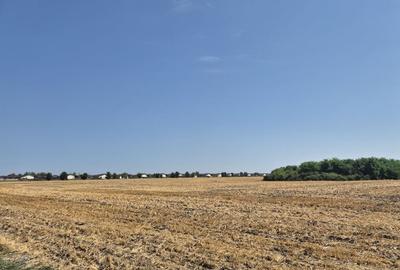 Teren de 4428 mp, în Balotești - 3