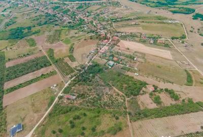 Teren de 3995 mp, în Săldăbagiu de Munte - 1