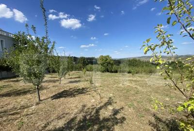 Teren de 1500 mp, în Aghireș - 4