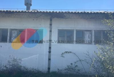 Teren Construcții intravilan de 16382 mp, în Mihăiești - 15