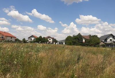 TEREN DUMBRAVITA/ AMPLASARE IDEALA! - 3