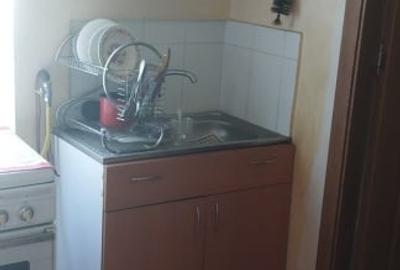 Casa unifamiliala de vanzare zona linistita Sighet - 9