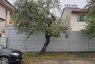 De vânzare teren 246 mp cu casă bătrânească - 5