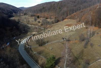 Teren de 4681 mp, în Bărăști - 19