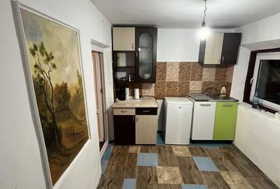 Casă cu 2 camere în Peceneaga - 1