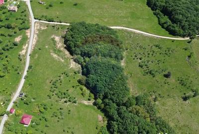 Teren de 30670 mp, în Codru Butesii