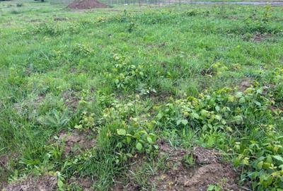 Teren de 3336 mp, în Central - 2