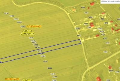 Spațiu comercial, în Corbii Mari - 4