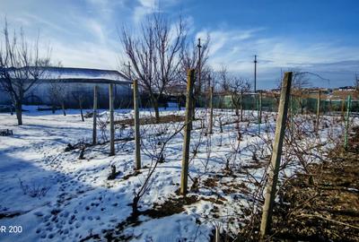 Teren pentru constructii zona Metro - 2