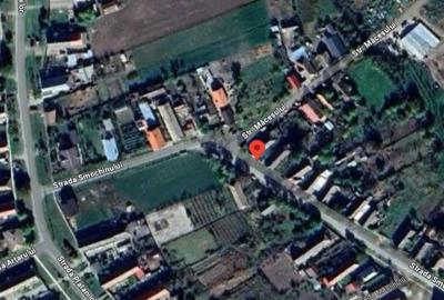 Casă cu Teren 766 Mp în Periam