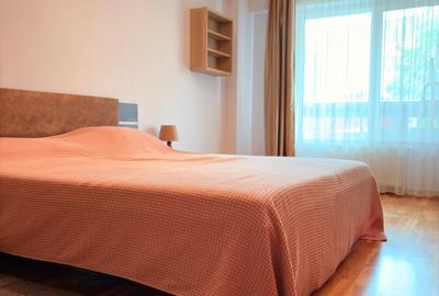 Apartament cu 2 camere semidecomandat, mobilat în Dristor - 8