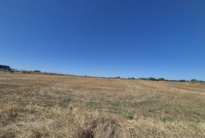 Teren ideal pentru rezidential – Izvorani, zona premium langa lac - 6