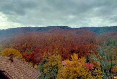 Apartament superb cu vedere la mun?i! - 10