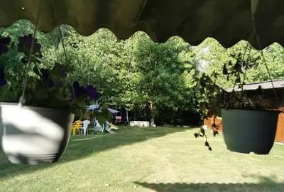 Teren in Contesti, Dambovita - 15