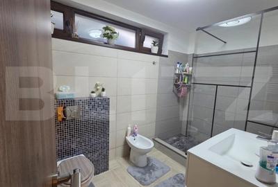 Apartament cu 3 camere decomandat, mobilat în Calea Severinului - 13