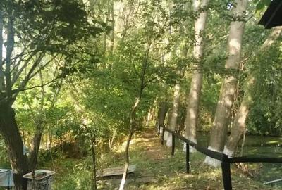 Teren in Contesti, Dambovita - 13