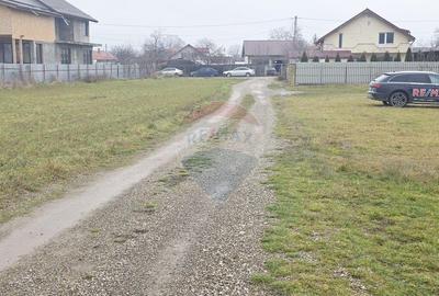 Teren 519mp Dumbrava Rosie / Strada CRANGULUI - 23