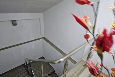 Vila 10 camere Dristor / Park Lake / Piscina Curte 430 mp - 13