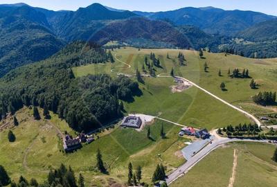 Teren 56599mp Dambovicioara / Soseaua DN 73Dealul sasului! - 4