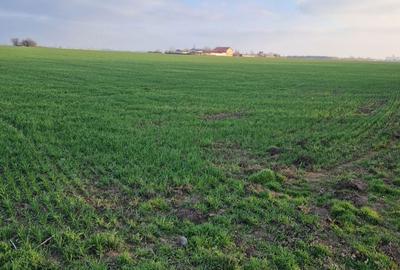 Spațiu comercial, în Central - 3