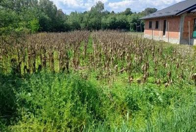 Spațiu comercial, în Boțești - 3