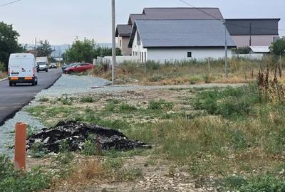 Teren de 770 mp, în Lazu - 4