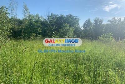 Teren Construcții intravilan de 1193 mp, în Păulești - 4