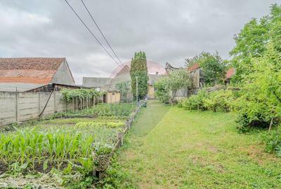 Comision 0 | Casa cu 3 camere, teren 1541 mp, livada, b... - 13