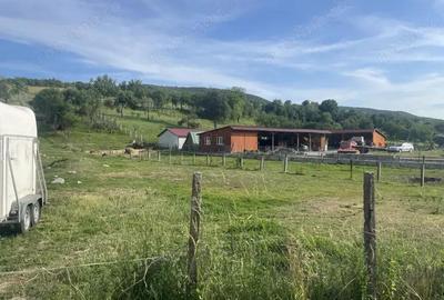 Teren de 1400 mp, în Jichișu de Jos