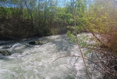 Spațiu comercial, în Joița - 7