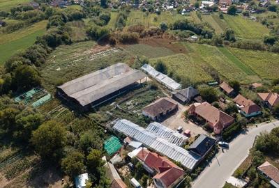 Teren cu constructii | 17000 mp | intravilan | flexibilitate - 4