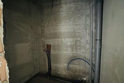 Apartament cu 3 camere semidecomandat în Dosu Bricii - 1