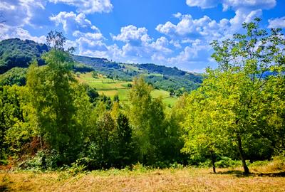 CASA TRADITIONALA, ANEXE si 46.980 mp teren partial INTRAVILAN BULZ - BIHOR - 17