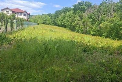 Teren de 3670 mp, în Păulești