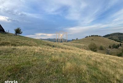 Teren de 14526 mp, în Gura Râului - 4