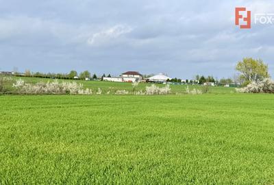 Teren Construcții intravilan de 502 mp, în Săcălaz - 1