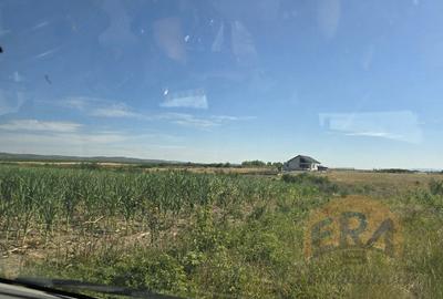 Oportunitate - Teren intravilan – 5972 mp – Rontau, Baile 1 Mai - 4