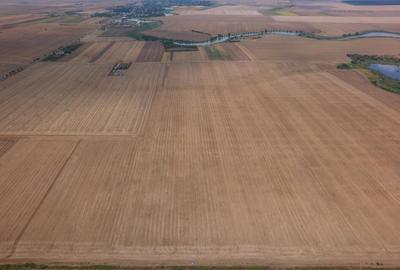 FRUMUSANI - PASAREA, TEREN 14420 MP, FRONT 40 M! - 23