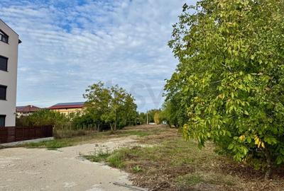 Teren de I Bucurestii Noi I Damaroaia - 1