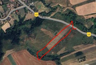 Teren agricol extravilan de 15000 mp, în Brăești - 1